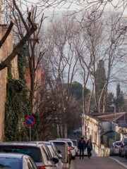 イスタンブール坂道～カップルで登れば別のバクバク！