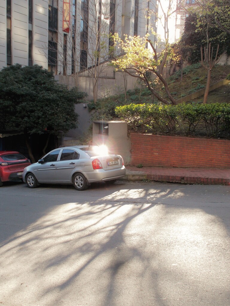 真新しい朝～～✨