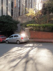 真新しい朝～～✨