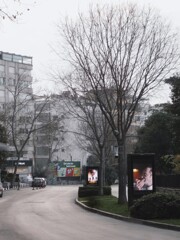 冬景色の中で　パントマイム～～