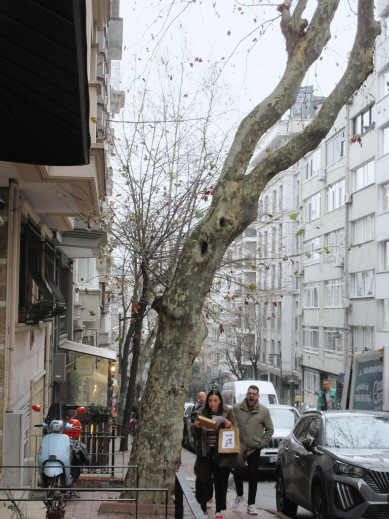 感染するよ…！あ　く　び