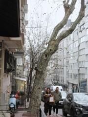 感染するよ…！あ　く　び