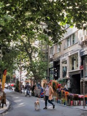 お散歩　大好きって顔してる～♪