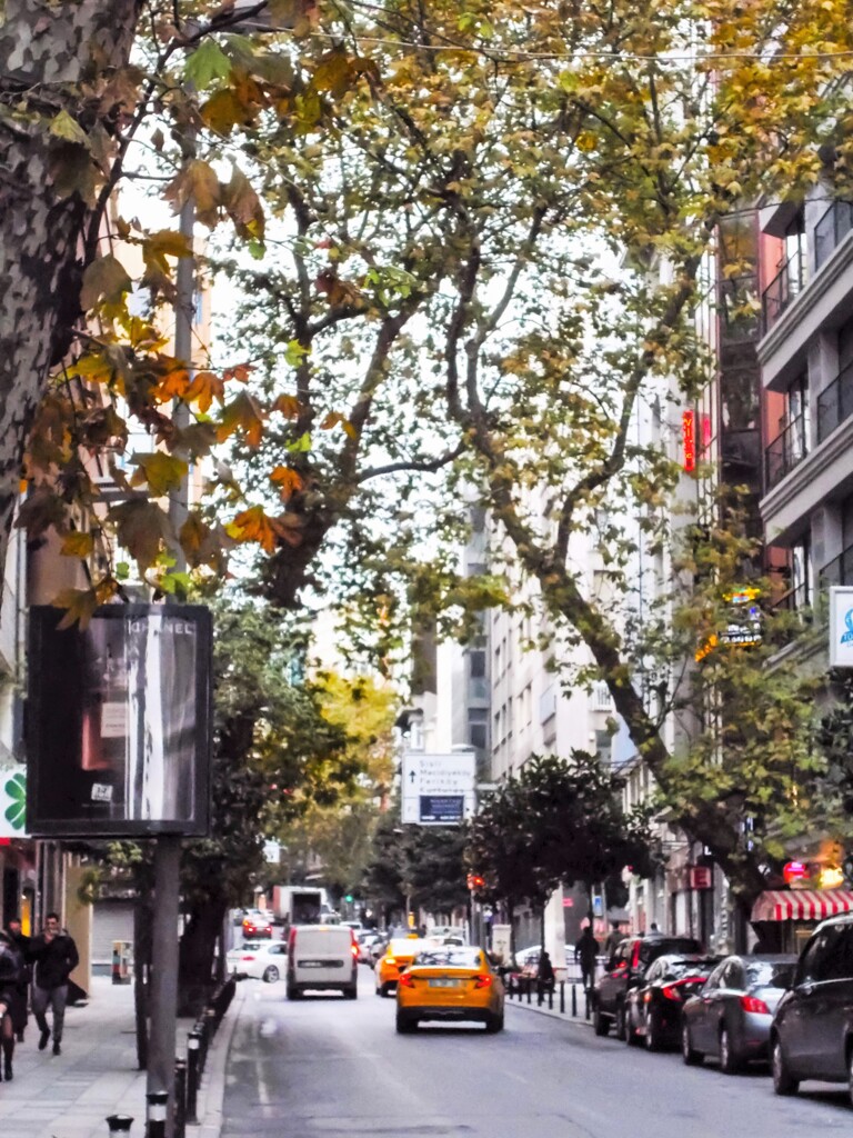 朝の通り道～繁華街～