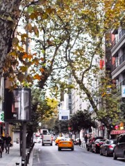 朝の通り道～繁華街～