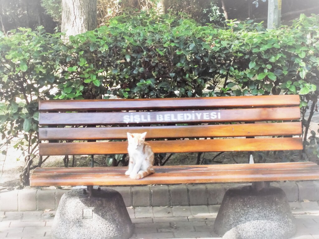 お１人ちゃまで　コックリ～こっくりさん～zzz～