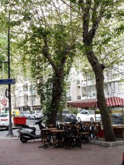 セミロックダウンの街角＊＊＊