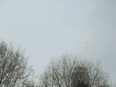 冬木立…尖尖…