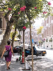 夏の後ろ姿～　サルスベリ～