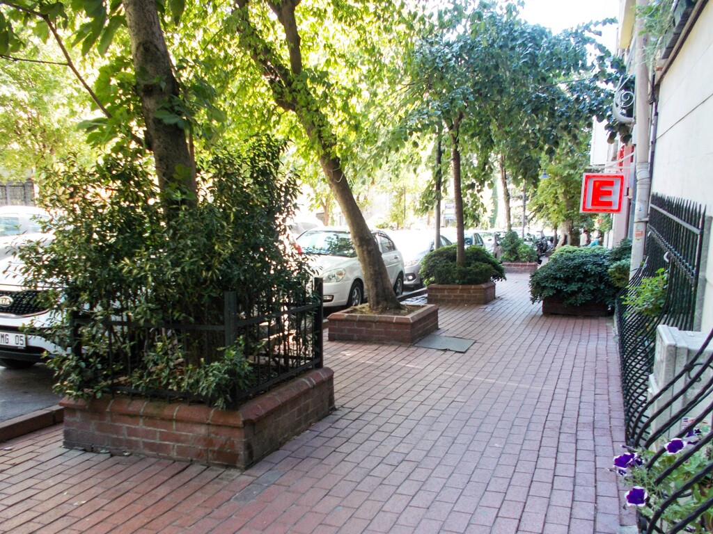 住宅街の中も緑がいっぱい～☆