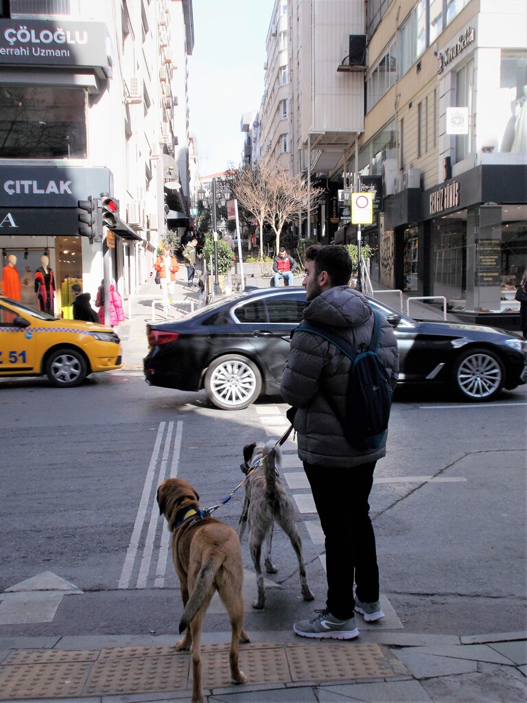 全身　アラート！