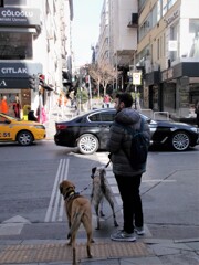 全身　アラート！