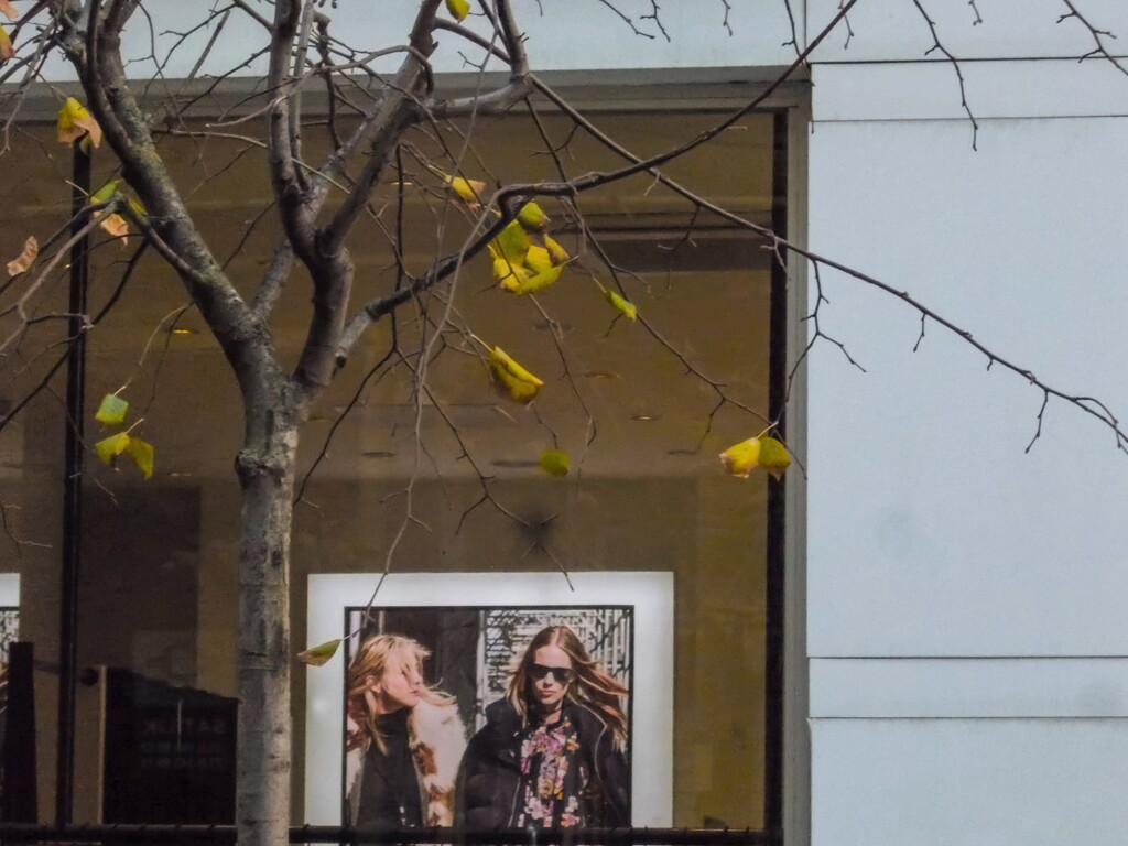 木枯らし～＊～