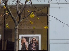 木枯らし～＊～