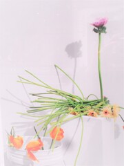 待ちくたびれて…