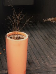 春だよ～　ちびちゃん　起きなさい～♡