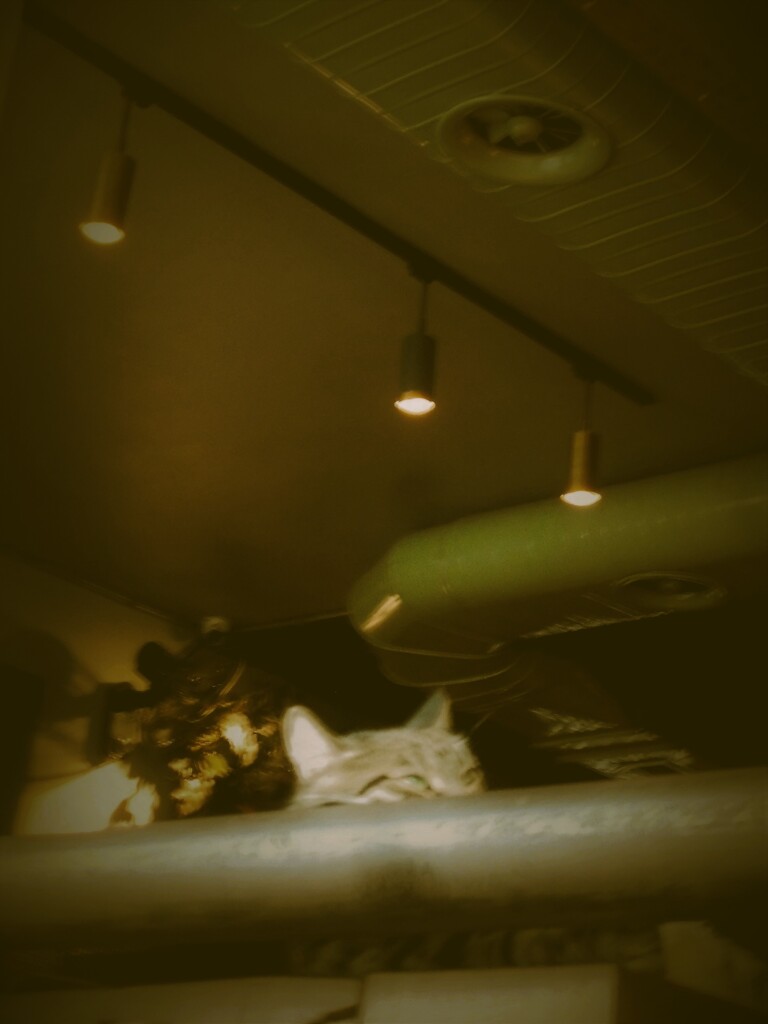 夜遊び～～♪★