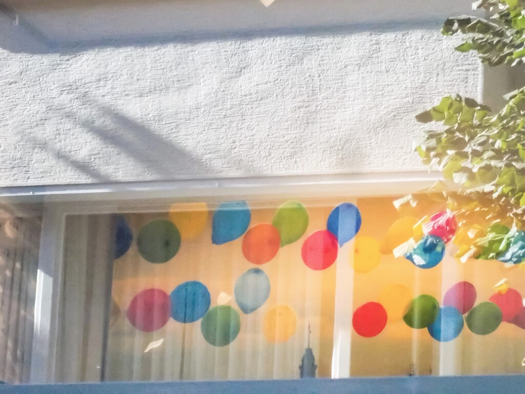 ふわ～り　ふわり～.。o○