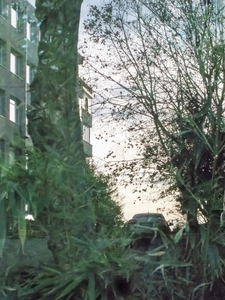 アクリル板のリフレクション～☆