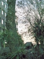 アクリル板のリフレクション～☆