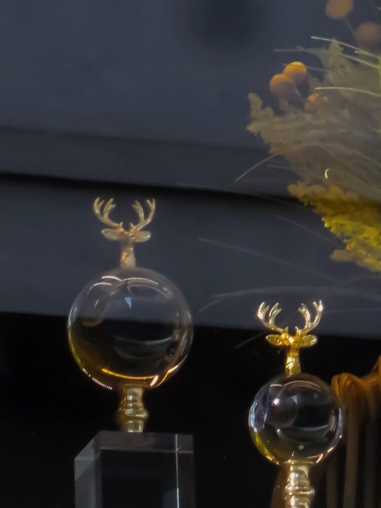 お月見もどき～