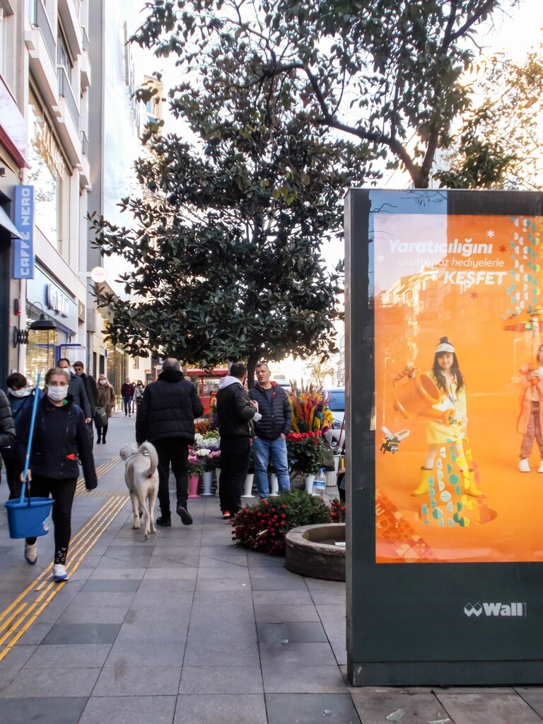 師走のある朝～