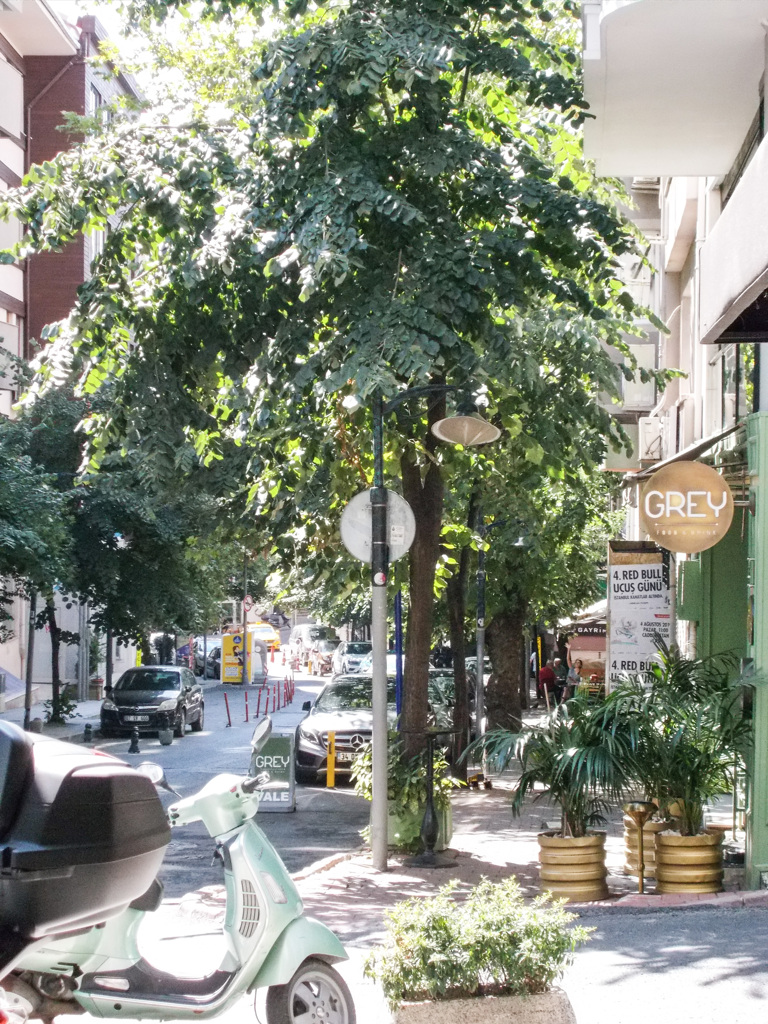 ミントグリーン