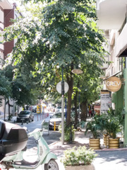 ミントグリーン