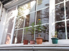 夏の朝～✨　窓辺で～✨