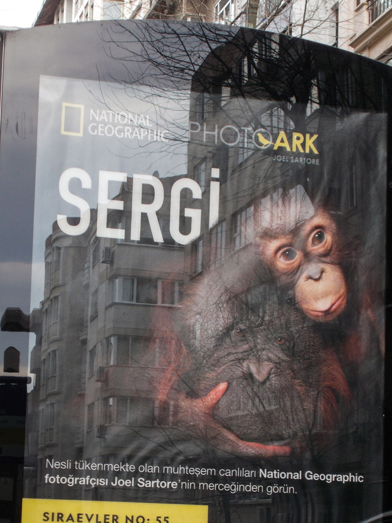 絶滅危惧種　写真展のポスター