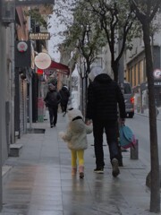 雨の朝。.。o○～♪