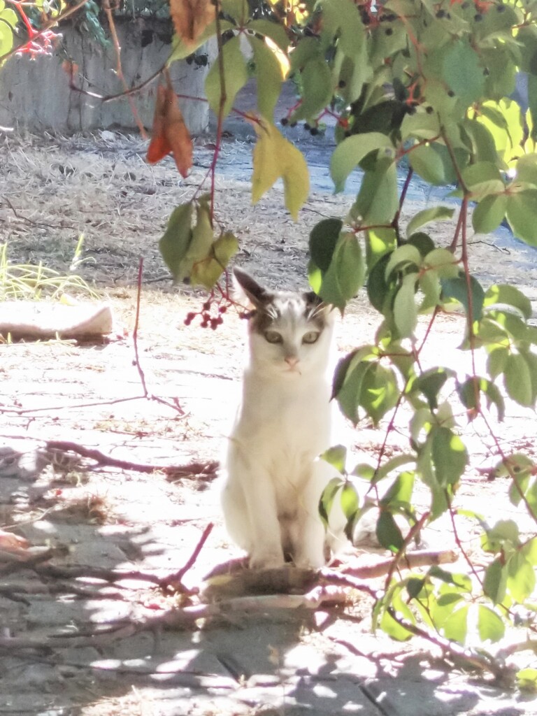 おはよ～✨♡✨～