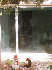 ニャンちゃん　お友達とお話し中だった～～♪