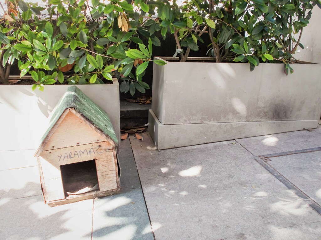 yaramazのお家～♡