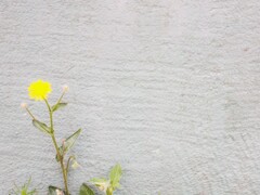 私…　ここで何をしているの…？