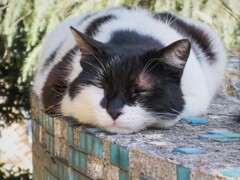 仕様書:本体前面図~ 仕様書:本体前面図~