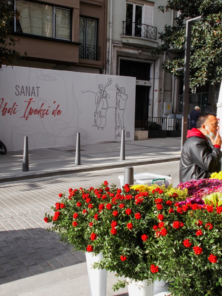 ジプシーの新年の花　コキナ売り＊。。＊～