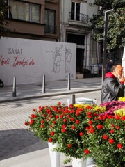 ジプシーの新年の花　コキナ売り＊。。＊～