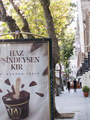 小さな　ちっちゃな秋～