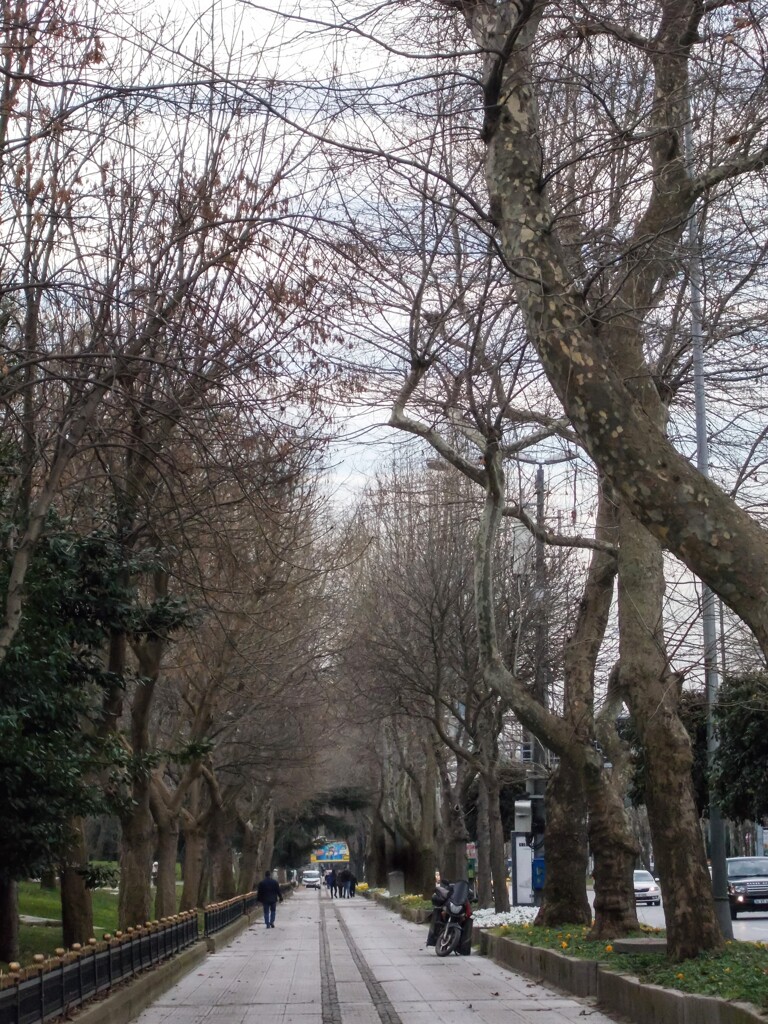 冬の散歩道～♪