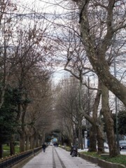 冬の散歩道～♪