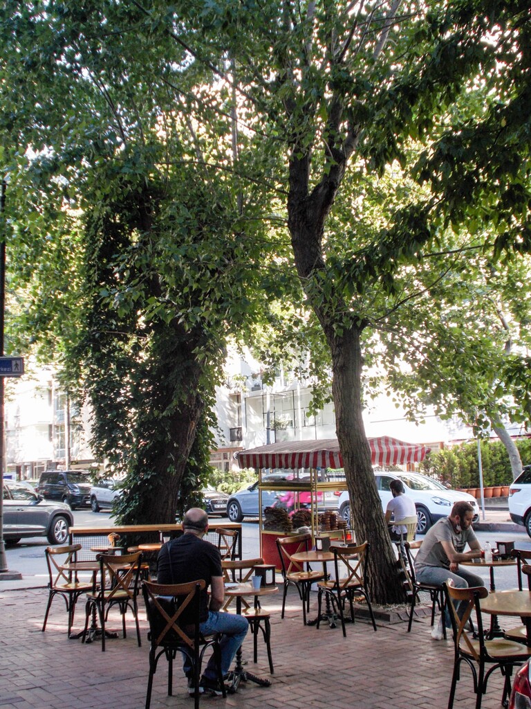 男の朝は１杯の濃いチャイから始まる～♪