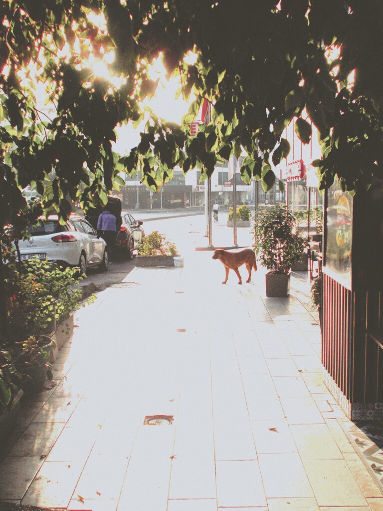 居場所がない…