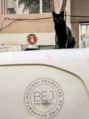 チャンピオン　黒たん～☆