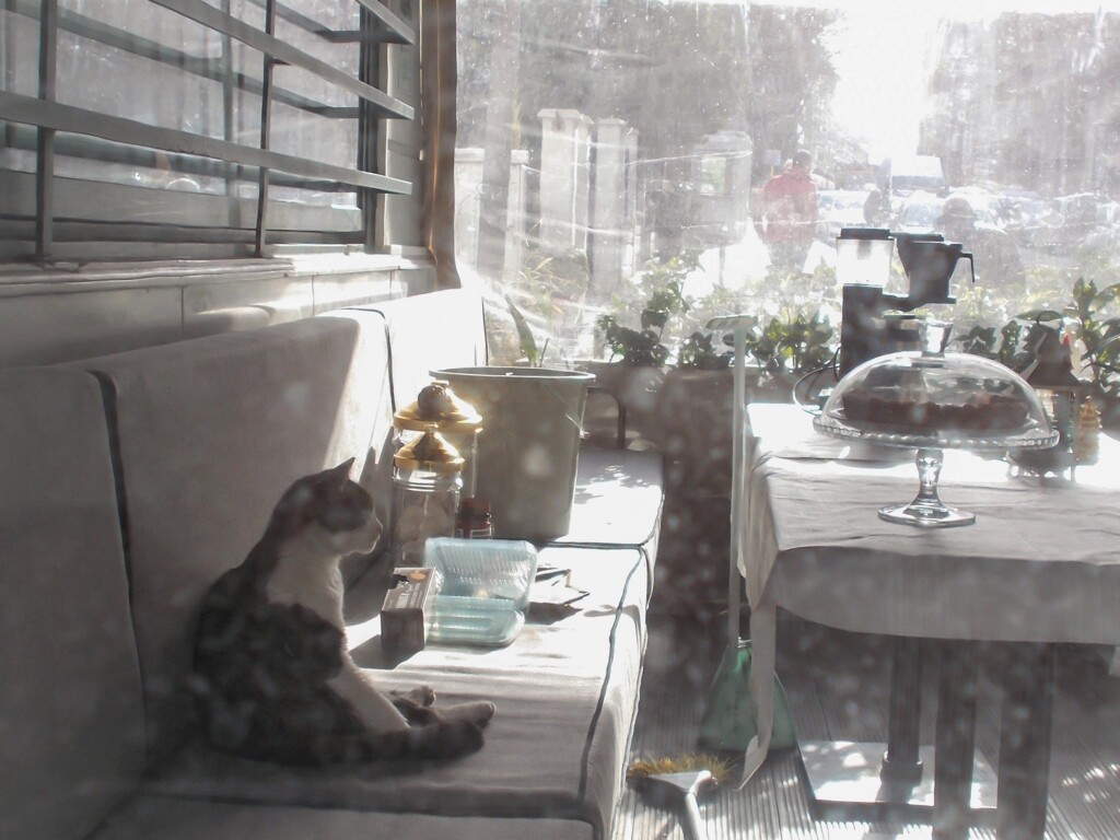 朝の指定席～☆