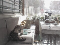 朝の指定席～☆