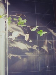 流れる時間～～