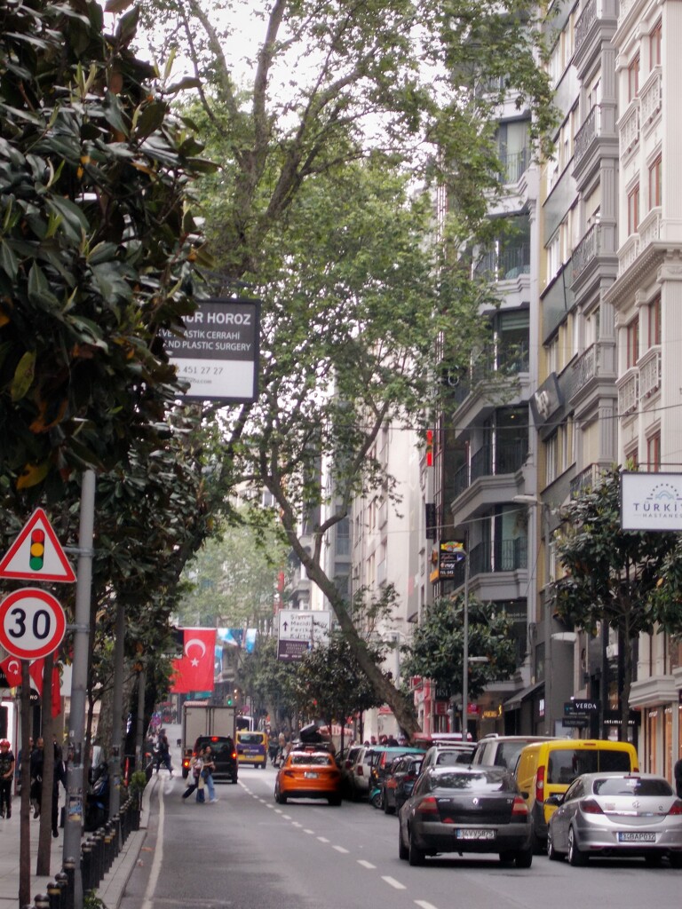 今日は休日　街中に国旗が～～☆☽