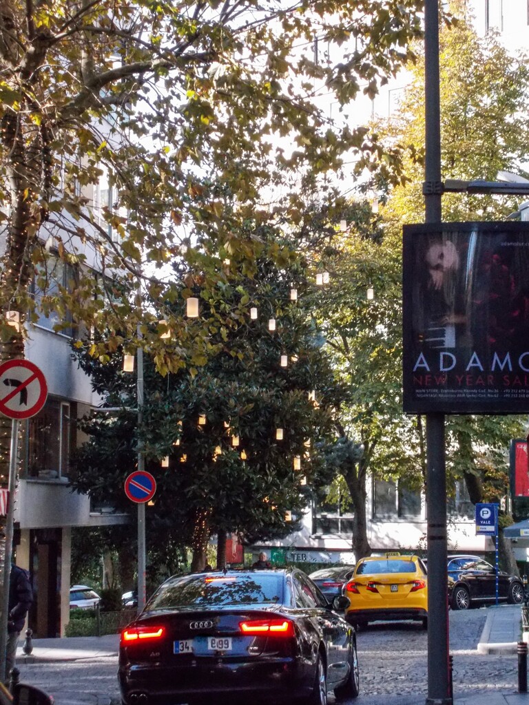 黒く沈む通り・・・