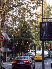 黒く沈む通り・・・